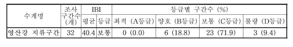 영산강 대권역 지류구간의 어류 생물지수(IBI) 값 및 등급 분포