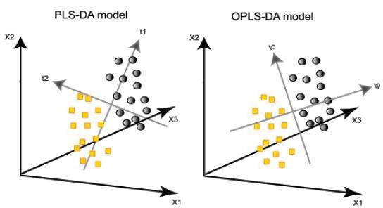 PLS-DA와 OPLS-DA간 차이에 대한 기하학적 모형