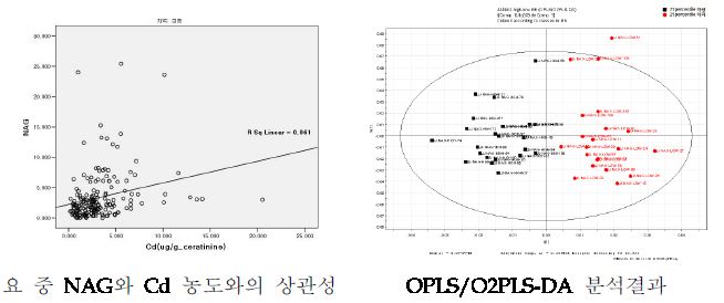 요 중 NAG 농도 구분에 따른 대사체 프로파일 비교.(장항지역)