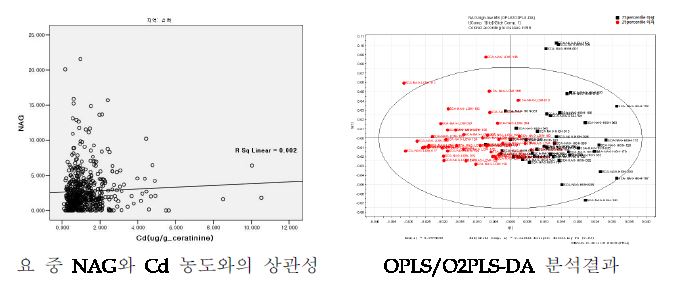 요 중 β2-MG 농도 구분에 따른 대사체 프로파일 비교.(삼척지역)