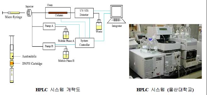 카보닐화합물 분석용 HPLC 시스템.