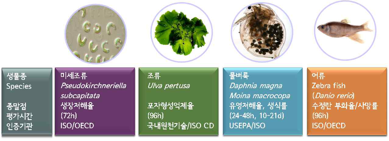 그림 3-8. 생태독성평가 생물종