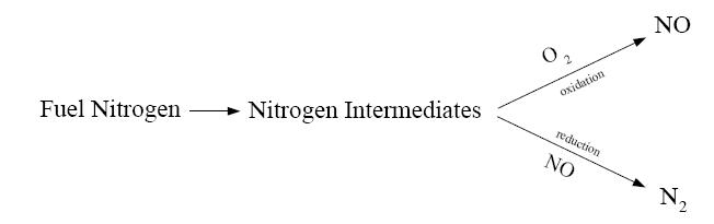 Reaction pathway of fuel NO