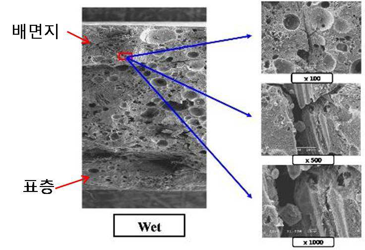 습윤조건 시험편에 대한 인장시험 후의 파단면에 대한 미세구조