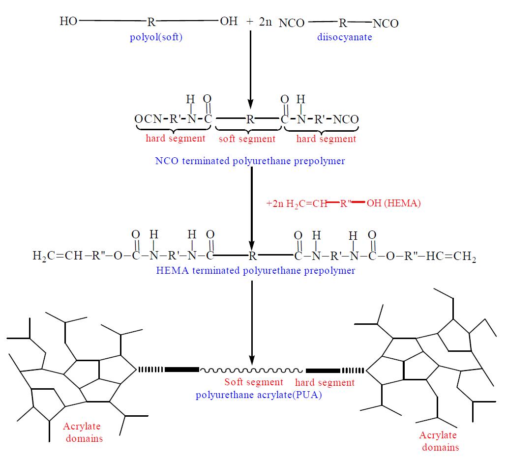 수성 UV polyurethane 의 합성 scheme.