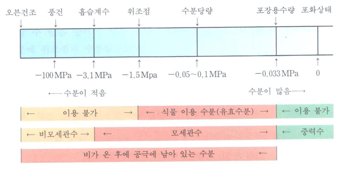 토양수분의 종류