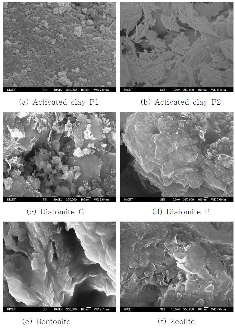 SEM micrographs of (a) activated clay P1, (b) activated clay P2, (c) diatomite G, (d) diatomite P, (e) bentonite, and (f) zeolite.