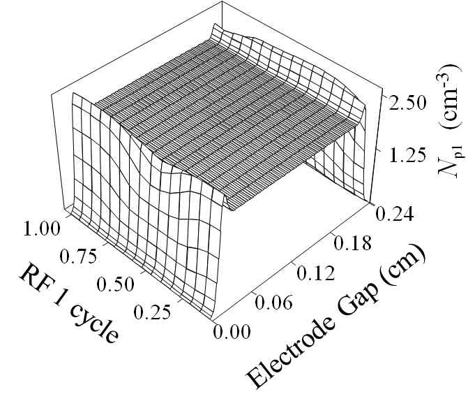 전극간 정이온 수밀도 분포