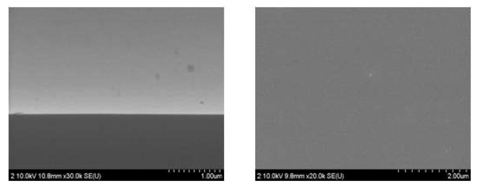 Blantet ion implanted wafer 세정 후 SEM image