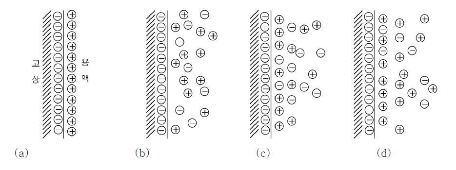 전기이중층 모델의 전하분포