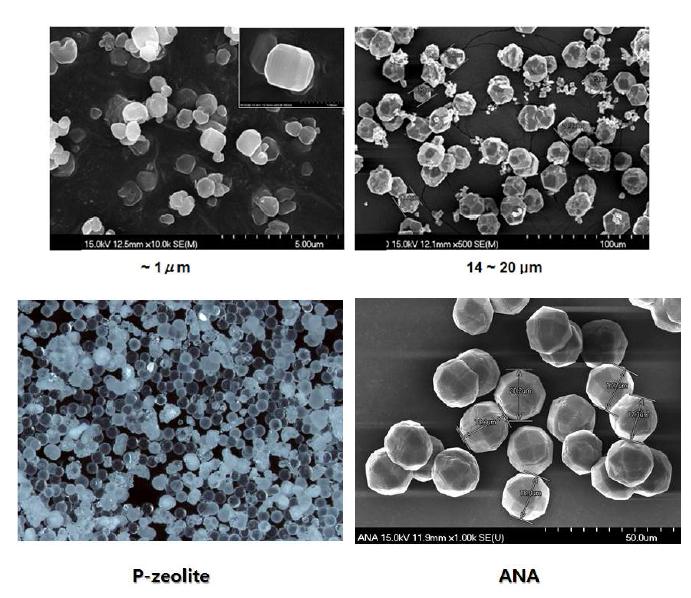 다양한 직경의 합성된 제올라이트 계열 기반소재의 SEM 사진