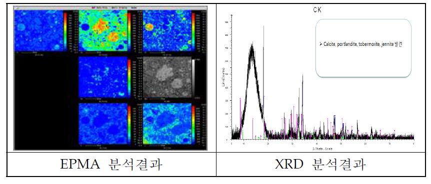 구성광물의 광학적 분석결과