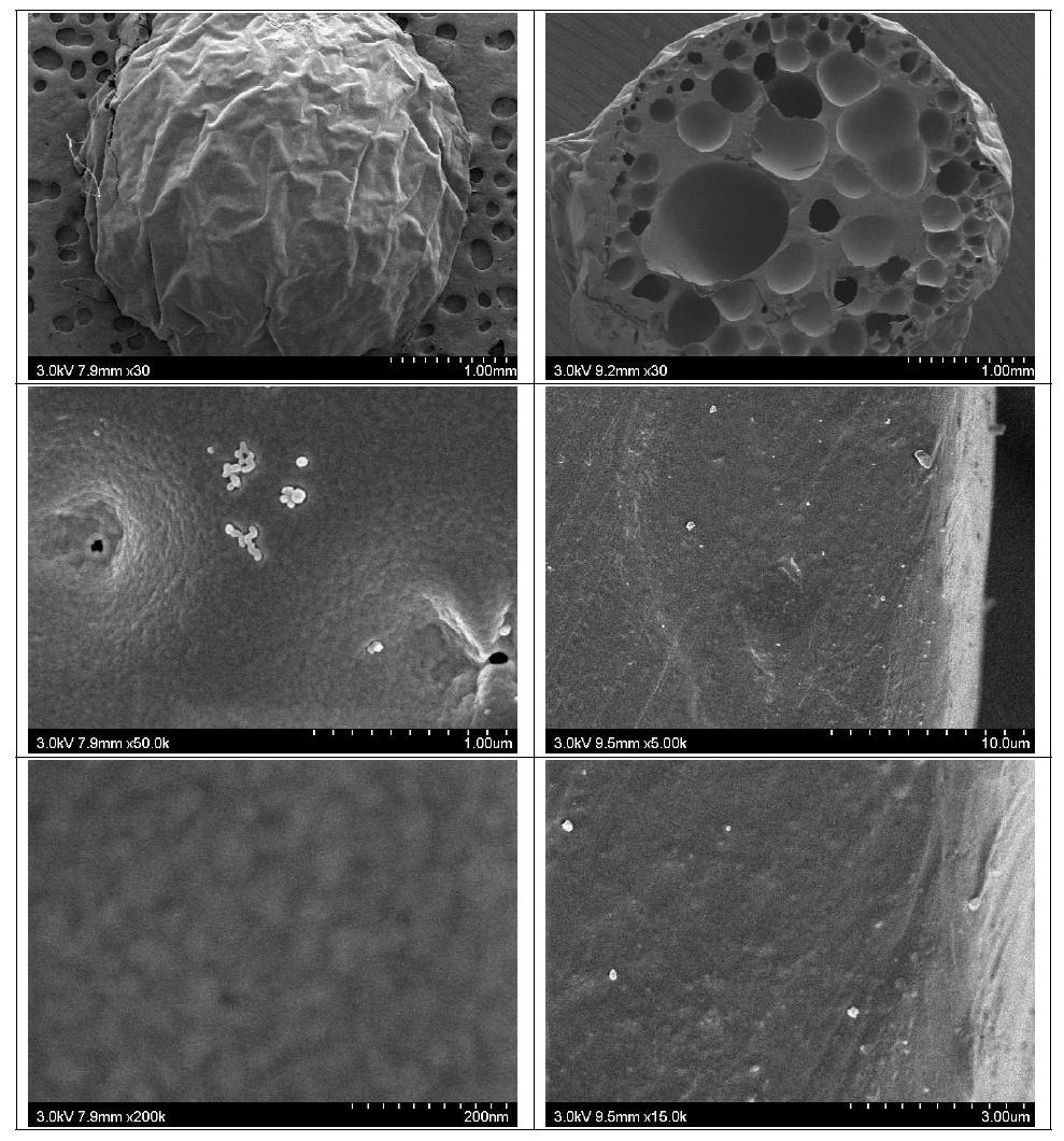 막의 표면(좌) 및 단면(우) SEM (air 30 s, IPA 60 s → H2O)
