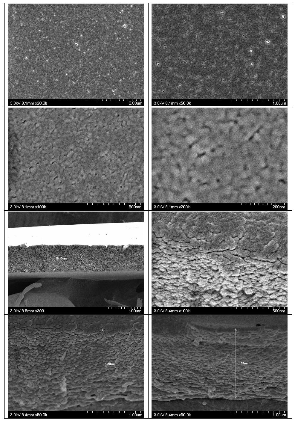 막의 표면(위) 및 단면(아래) SEM (20%DMAc/IPA 60 s → H2O)