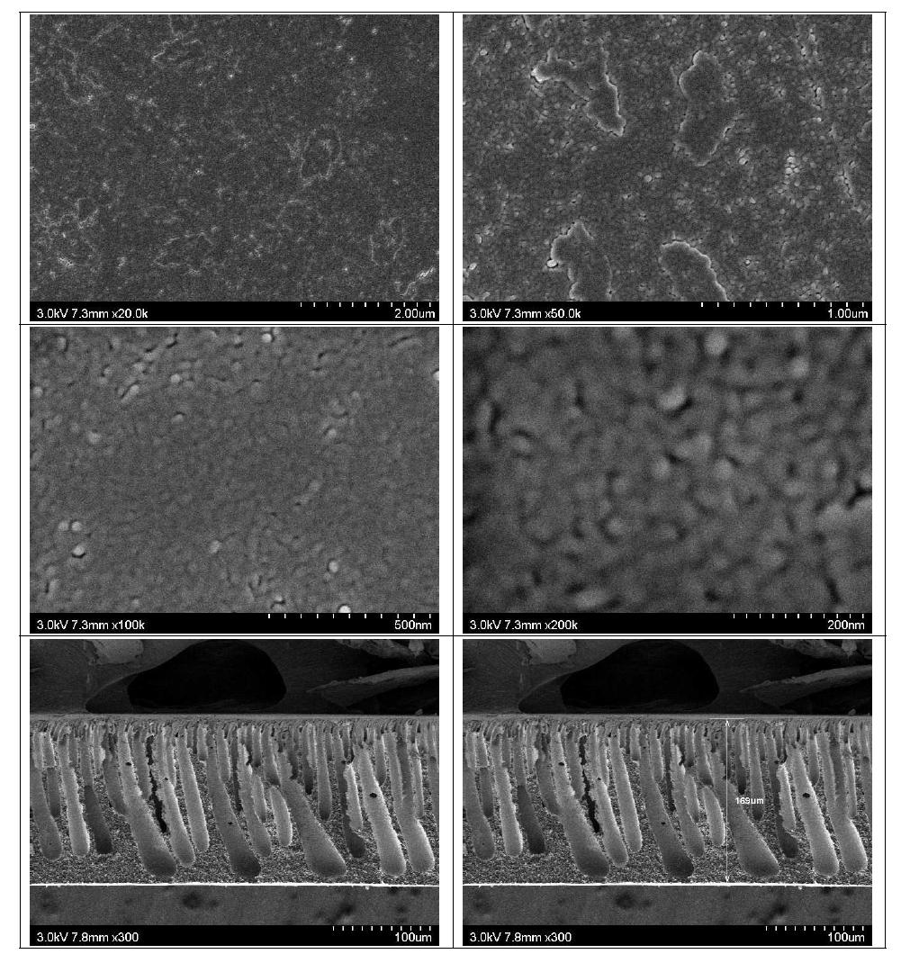 막의 표면(위) 및 단면(아래) SEM (H2O)