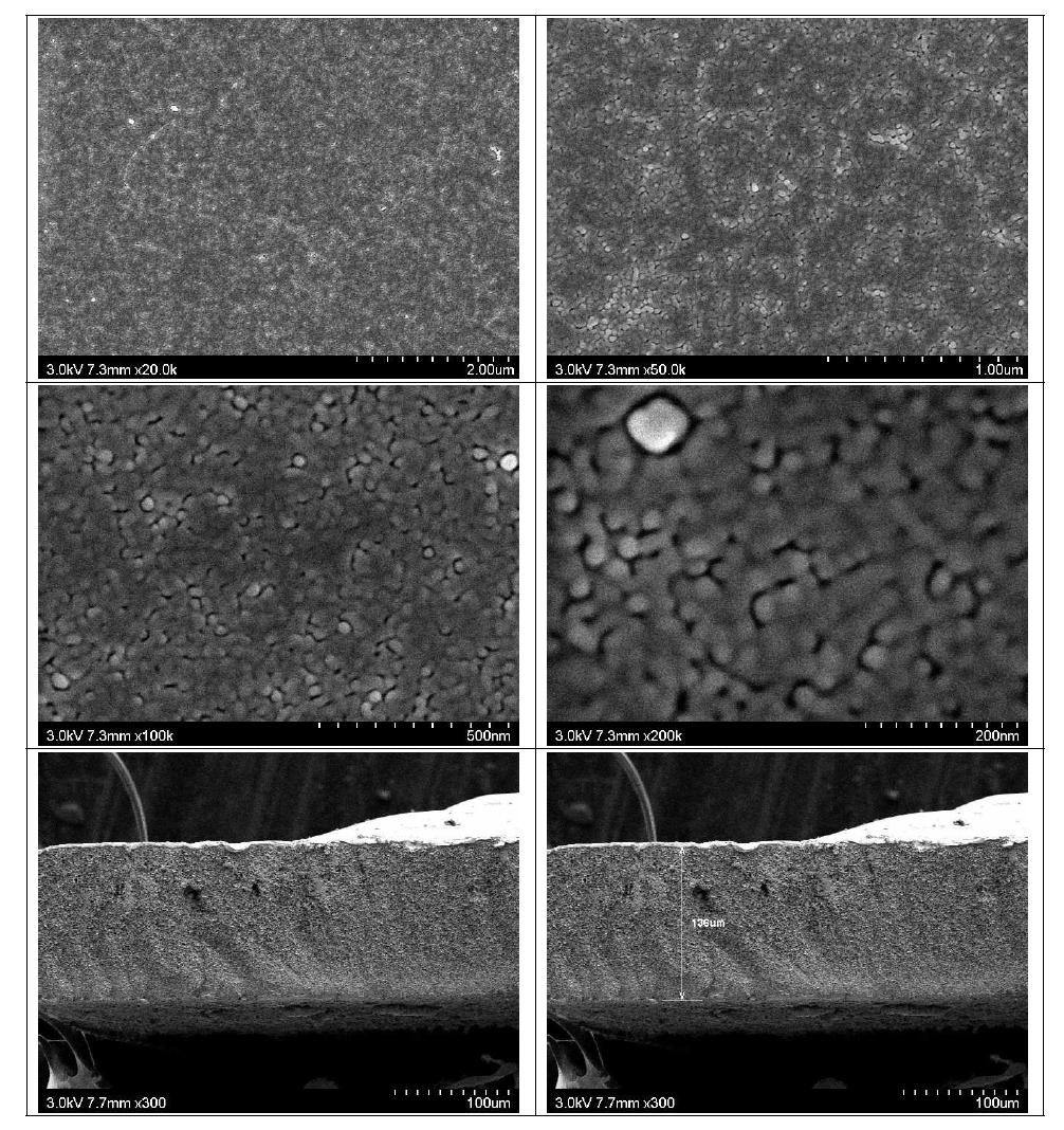 막의 표면(위) 및 단면(아래) SEM (PEG 60 s → H2O)