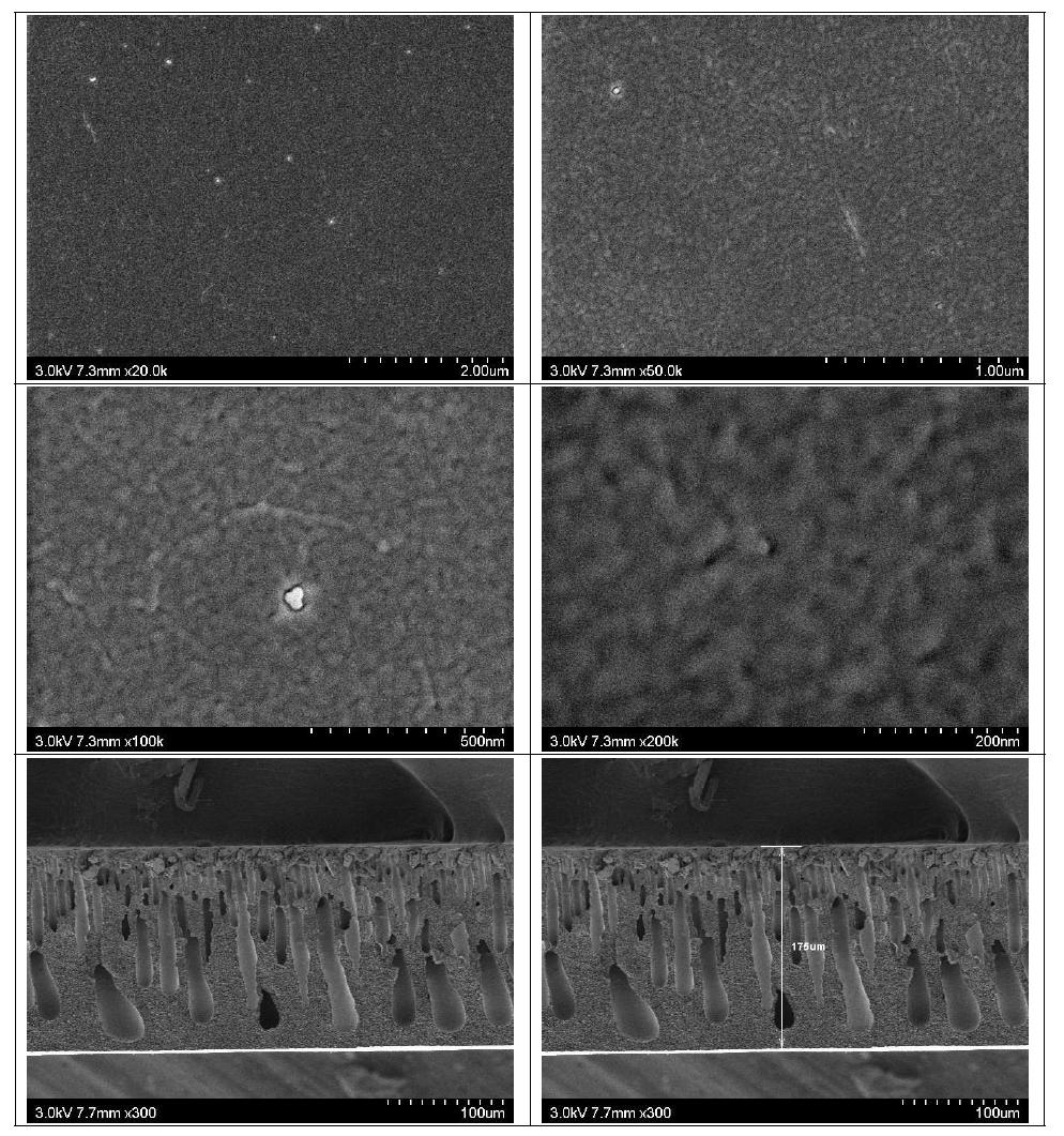 막의 표면(위) 및 단면(아래) SEM (air 60 s, H2O)