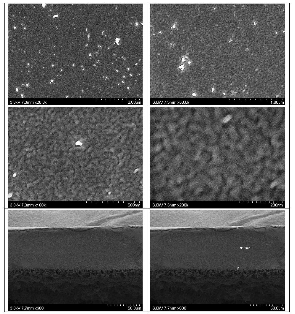 막의 표면(위) 및 단면(아래) SEM (air 60 s, PEG 180 s → H2O)