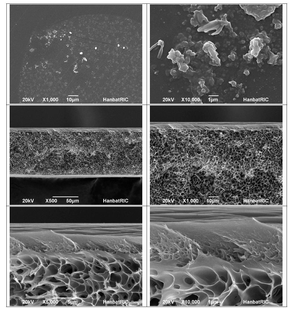 막의 표면(위) 및 단면(아래) SEM (air 30 s, IPA 30 s → H2O)
