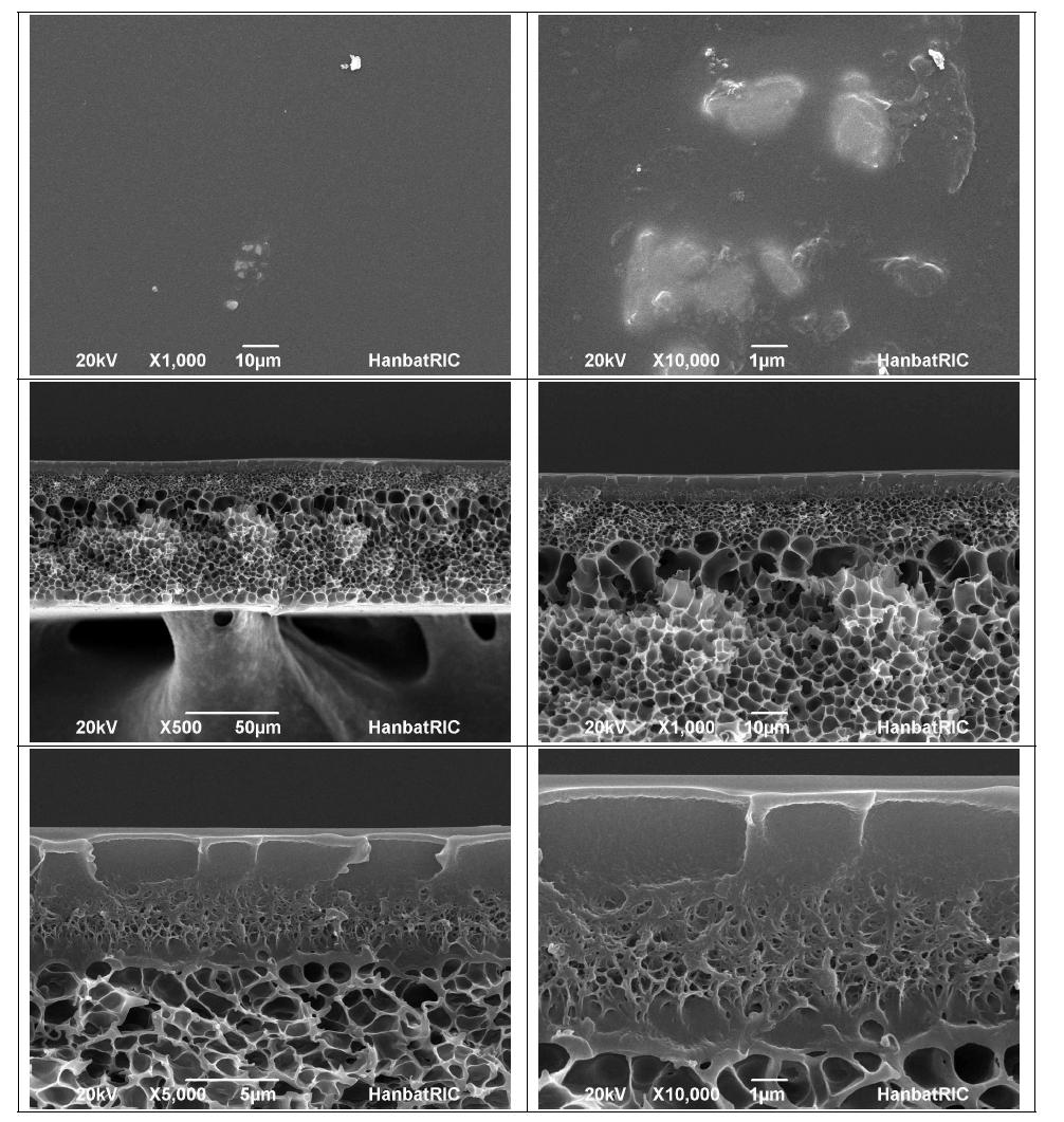 막의 표면(위) 및 단면(아래) SEM (air 60 s, IPA 30 s → H2O)
