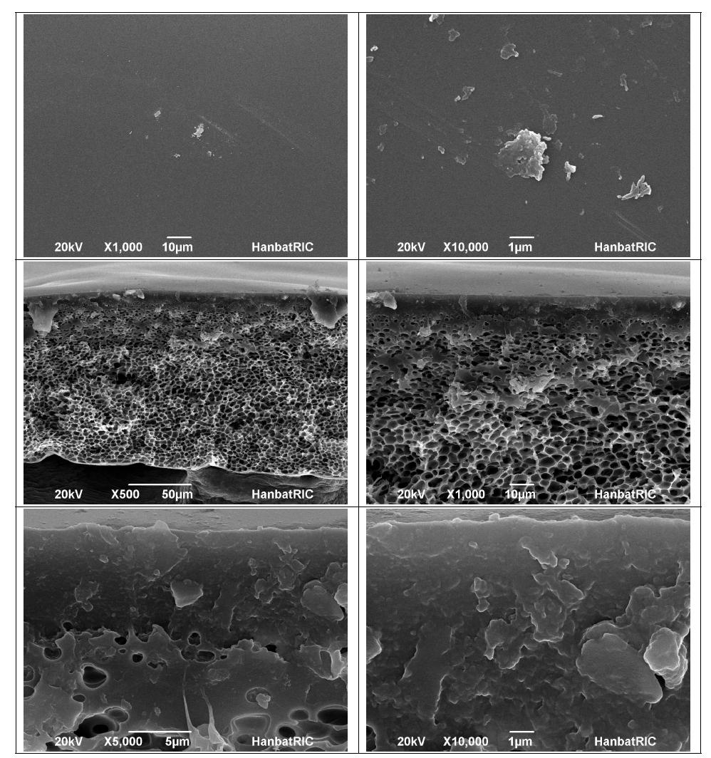 막의 표면(위) 및 단면(아래) SEM (air 180 s, IPA 60 s → H2O)