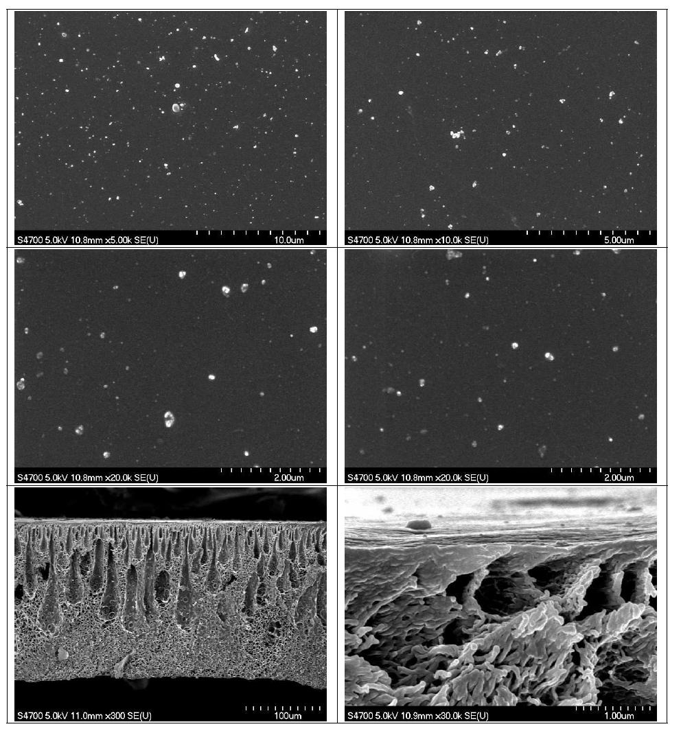 막의 표면(위) 및 단면(아래) SEM (air 30 s, H2O)