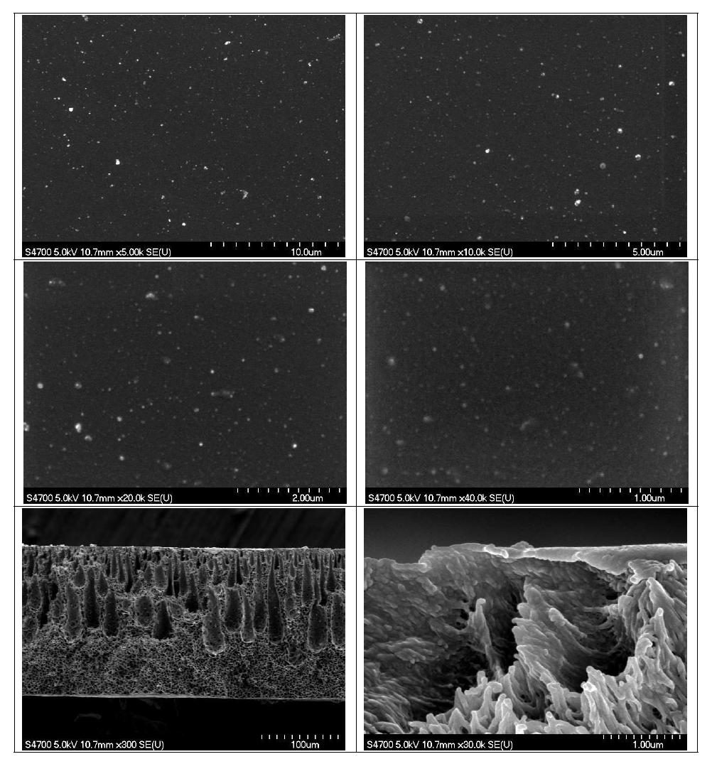 막의 표면(위) 및 단면(아래) SEM (air 90 s, H2O)