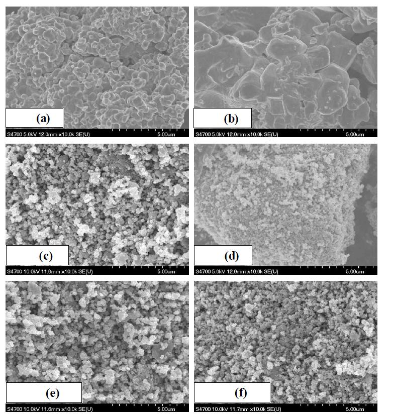 -3. SEM image of the active metal oxide /support