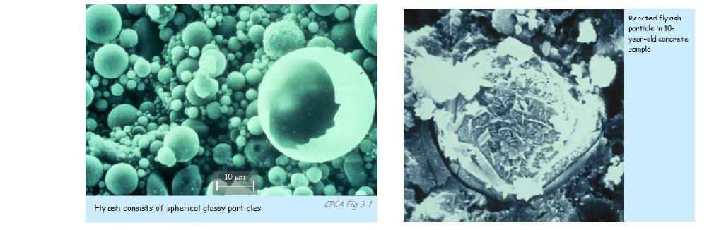 플라이애시 및 경화한 콘크리트의 SEM 사진