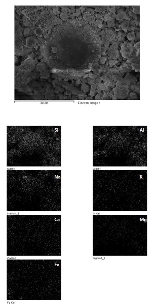 30℃ 양생 지오폴리머의 원소 mapping분석결과 (재령 28일)