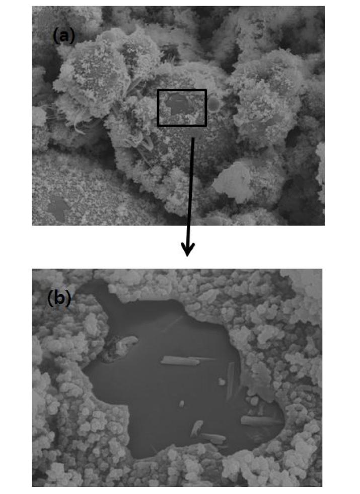 60℃ 양생 지오폴리머의 SEM 사진1(재령 28일)
