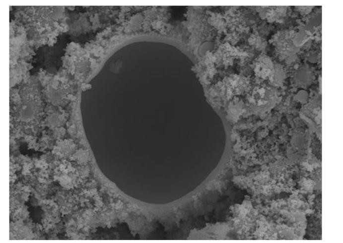 60℃ 양생 지오폴리머의 SEM 사진2 (재령28일)