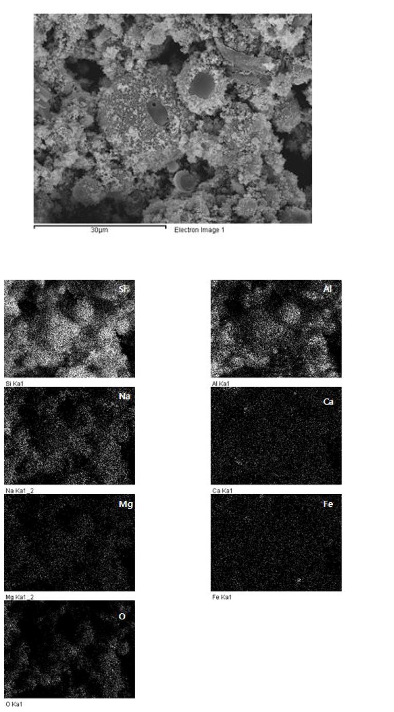 60℃ 양생 지오폴리머의 원소 mapping분석결과 (재령 28일)