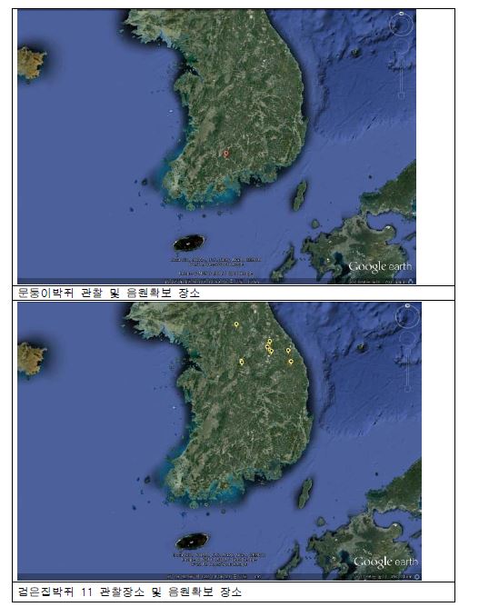 박쥐의 종별 관찰장소