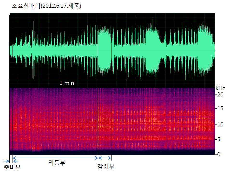 소요산매미의 음원분석(Sonograms)