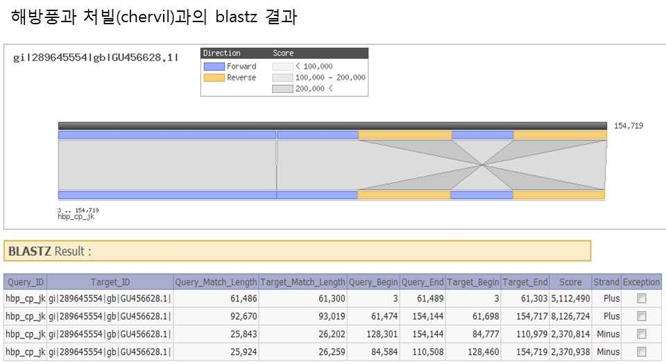 그림 3-2. 처빌(Anthriscus cereifolium)과 해방풍의 BlastZ mapping