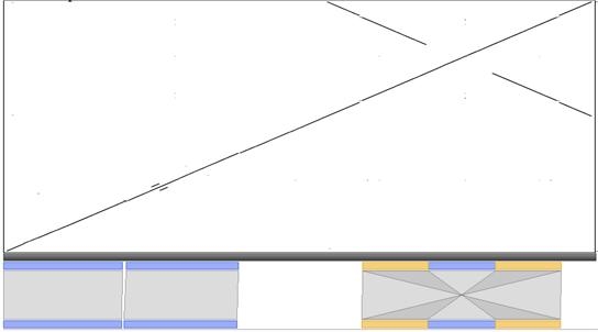 그림 3-3. 처빌(Anthriscus cereifolium)과 식방풍의 BlastZ mapping 및 Dot 분석