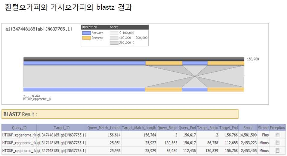 그림 3-4. 가시오가피와 흰털오가피의 BlastZ mapping