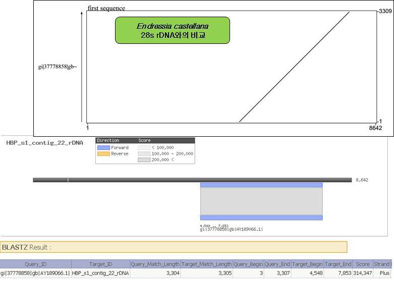 그림 3-20. 해방풍 rDNA의 Blast 결과(레퍼런스 Endressia castellana 28s rDNA)