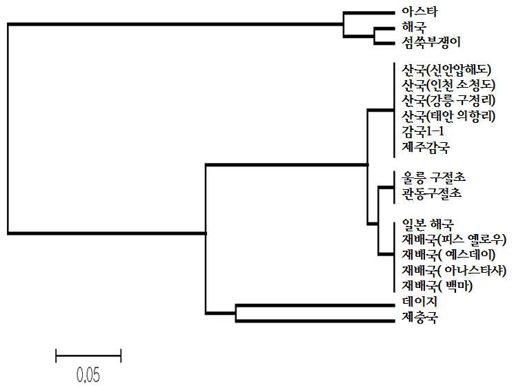 그림 3-40. 국화 및 국화 근연종의 생물자원의 유연관계