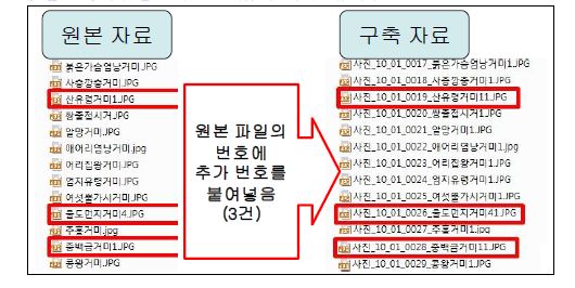 국외반출승인대상 선정사업 자료 구축 오류 사례