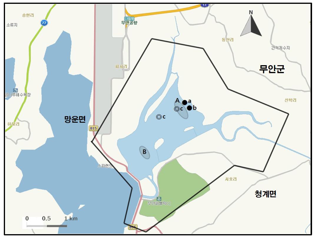 무안저수지의 조사지역에서 개체수가 많이 관찰된 지역( )과 멸종위기 야생동식물 Ⅰ급(●), Ⅱ급(◎) 조류가 관찰된 지역