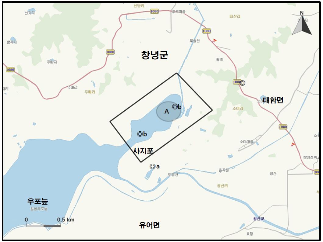 사지포 지역에서 개체수가 많이 관찰된 지역( )과 멸종위기 야생동식물 Ⅰ급(●), Ⅱ급(◎) 조류가 관찰된 지역