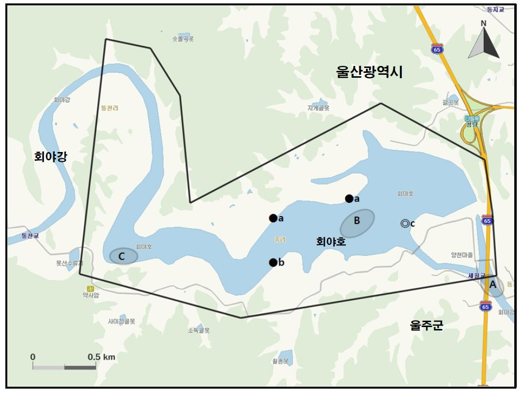 회야호에서 개체수가 많이 관찰된 지역( )과 멸종위기 야생동․식물 Ⅰ급(●), Ⅱ급(◎) 조류가 관찰된 지역