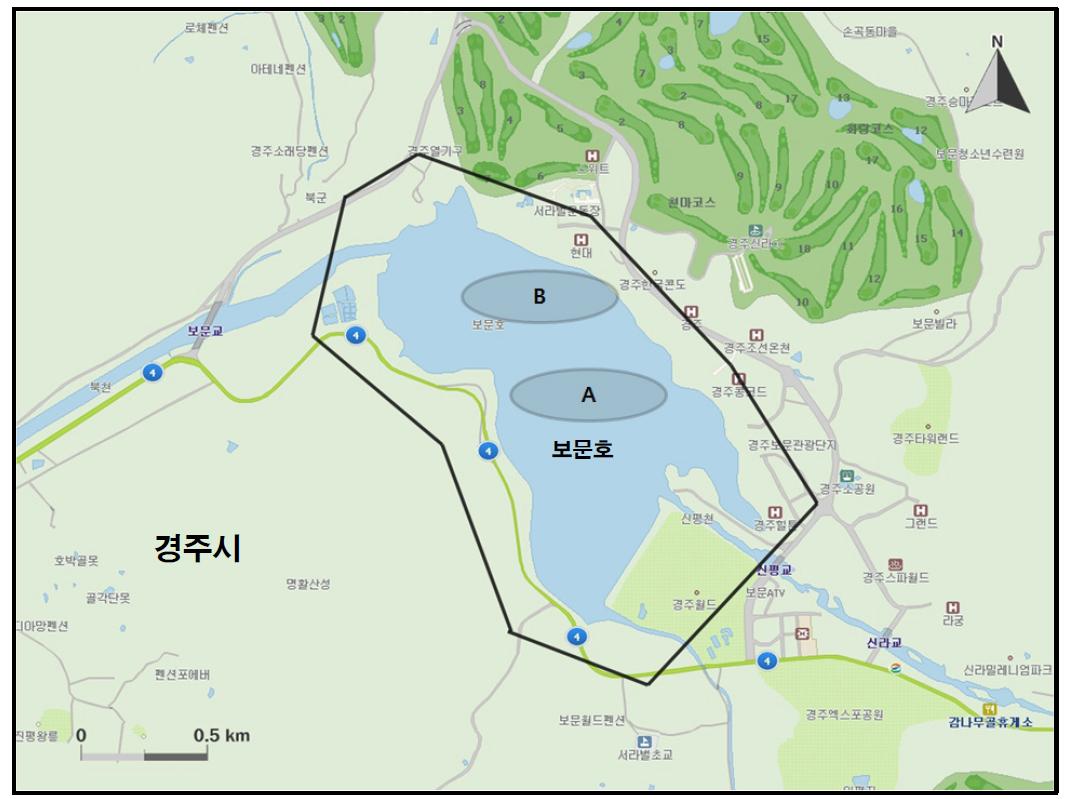 보문호에서 개체수가 많이 관찰된 지역( ).