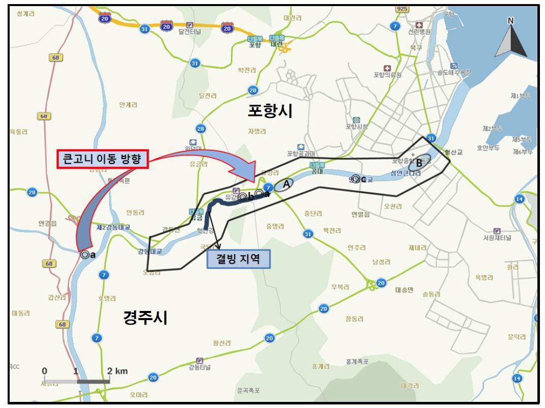 형산강(신형산교-제1강동교)에서 개체수가 많이 관찰된 지역( )과 멸종위기 야생동․식물 Ⅱ급(◎) 조류가 관찰된 지역