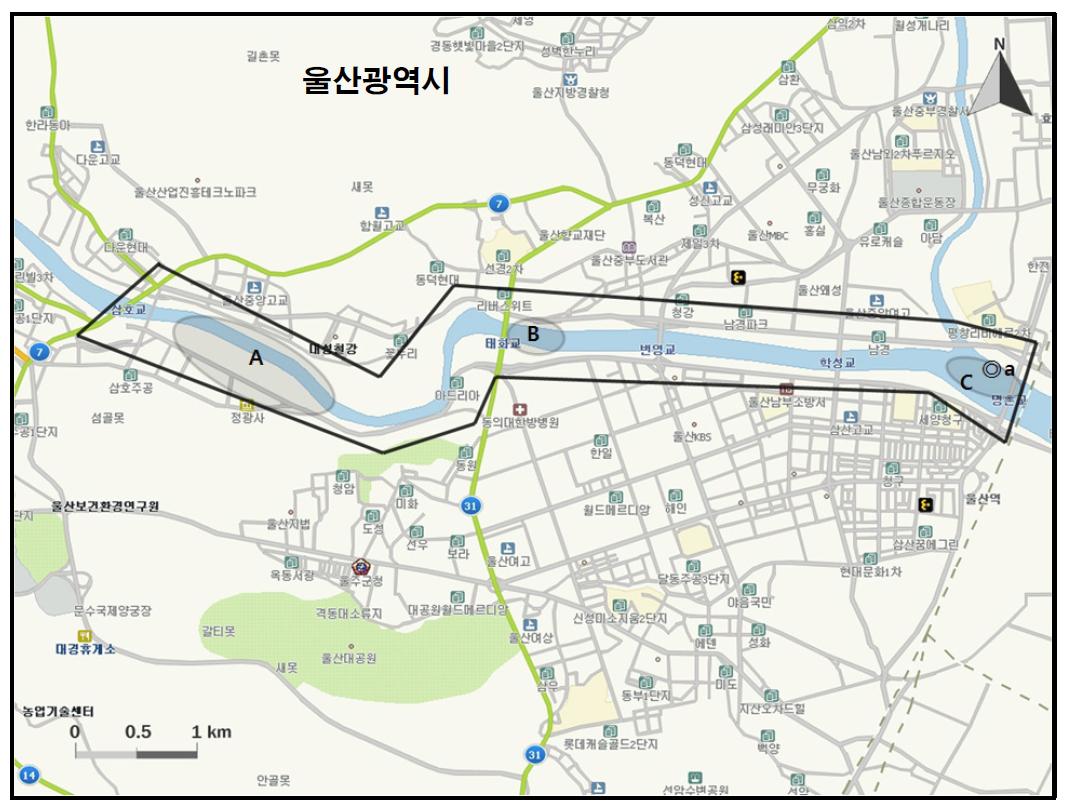 태화강(명천대교-삼호교) 지역에서 개체수가 많이 관찰된 지역( )과 멸종위기 야생동․식물 Ⅱ급(◎) 조류가 관찰된 지역.