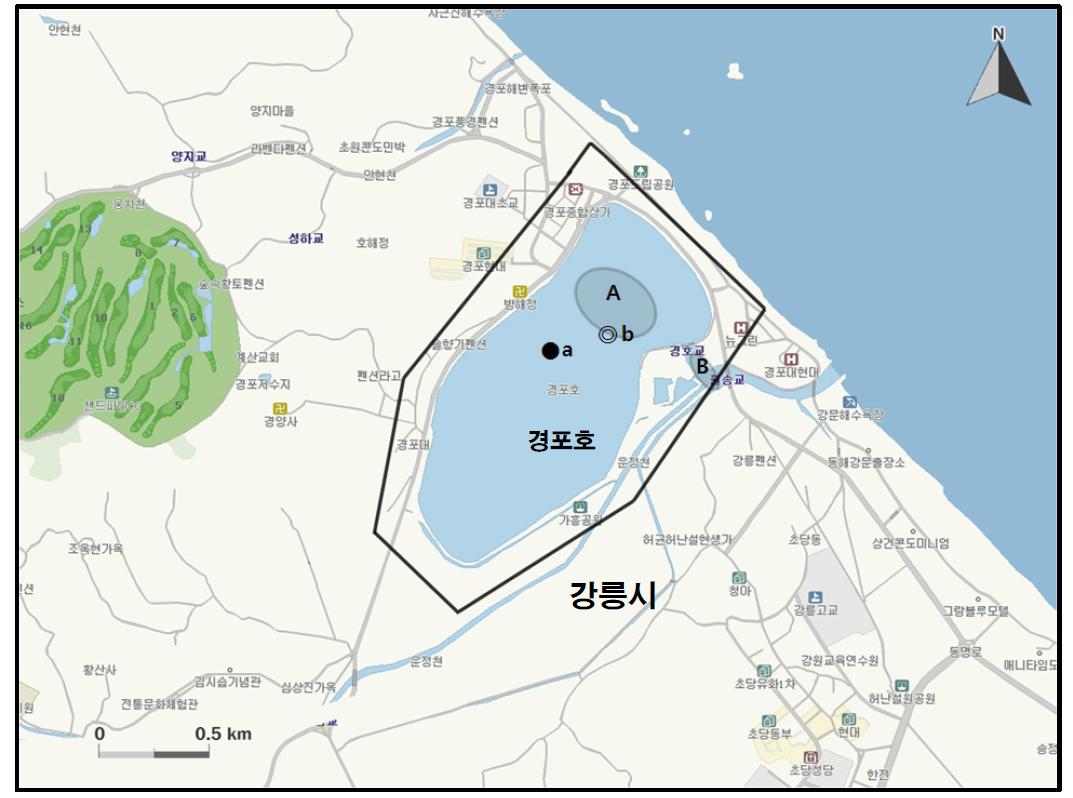 경포호에서 개체수가 많이 관찰된 지역( )과 멸종위기 야생동식물 Ⅰ급(●), Ⅱ급(◎) 조류가 관찰된 지역.