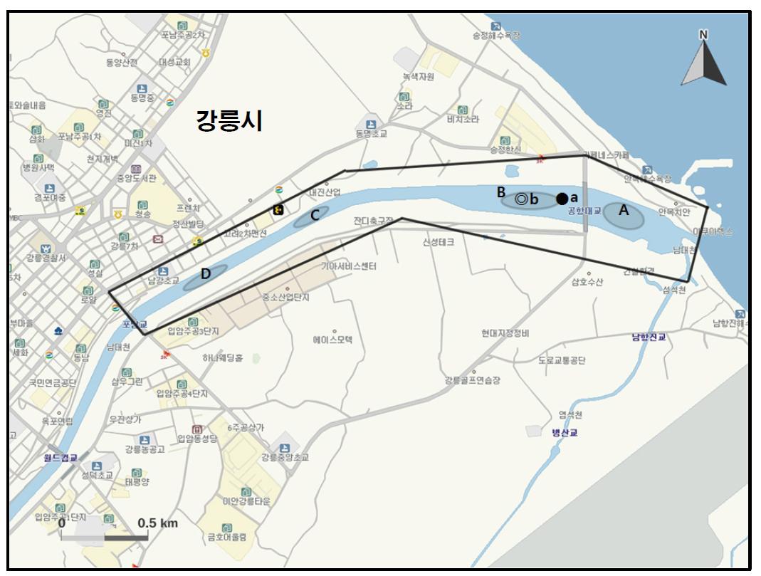 남대천(강릉)에서 개체수가 많이 관찰된 지역( )과 멸종위기 야생동식물 Ⅰ급(●), Ⅱ급(◎) 조류가 관찰된 지역