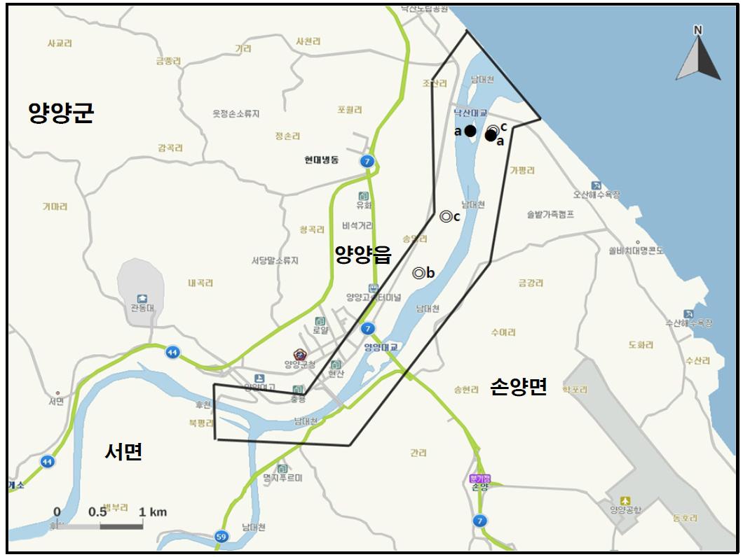 남대천(양양)에서 개체수가 많이 관찰된 지역( )과 멸종위기 야생동식물 Ⅰ급(●), Ⅱ급(◎) 조류가 관찰된 지역